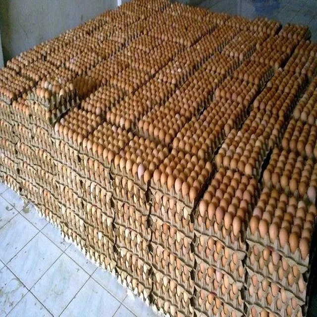 
Well Sorted and Packed Chicken Table Eggs / Fertilized Hatching Eggs for sale worldwide $4.00/ Tray 