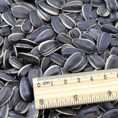 Crude Sunflower Seed Oil, Edible, Bulk,Human Consumption Supplier