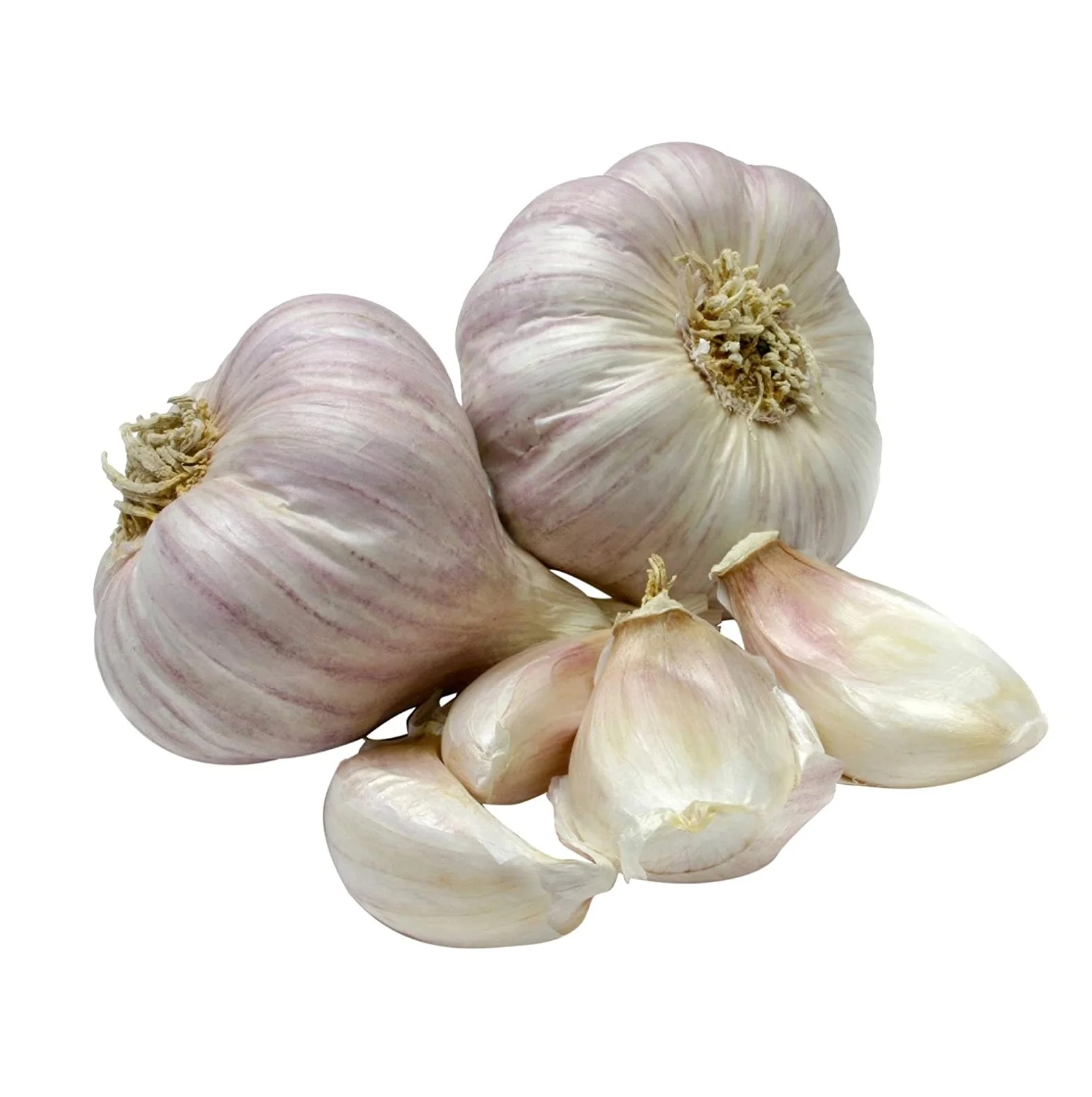 100 % Natural Quality Pure White Garlic Available at Cheapest Price In Huge Stock