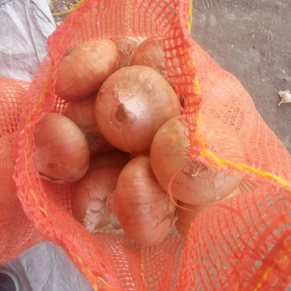 PREMIUM QUALITY EGYPTIAN FRESH YELLOW ONION TO WORLDWIDE