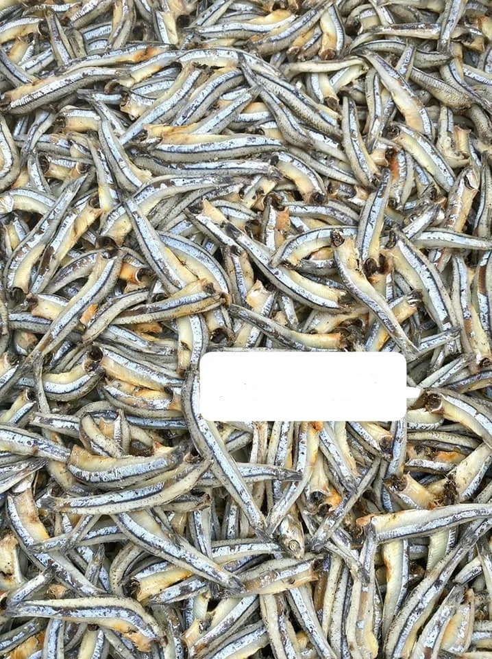 VIETNAMESE SUNDRIED ANCHOVY FISH FROM WITH GOOD PRICE//Sven + 84 966722357