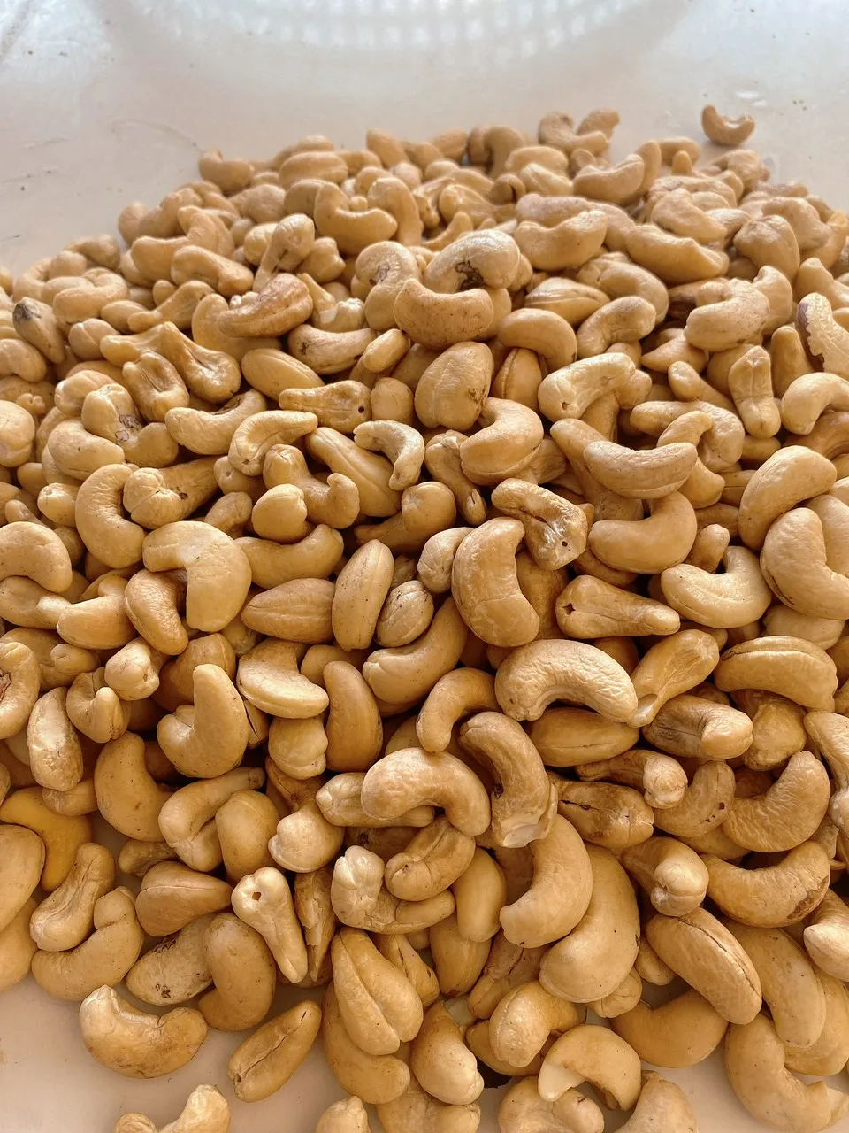 Лучший вьетнамский Кешью (W180 W240 W320 W450) для оптовой продажи/100% натуральный без