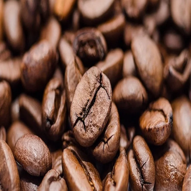 Прямая продажа с завода, Немецкие черные кофейные зерна Robusta