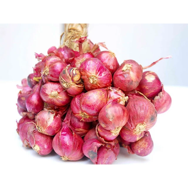 Shallot for Export / Fast delivery and Quick response / Wholesale from Vietnam
