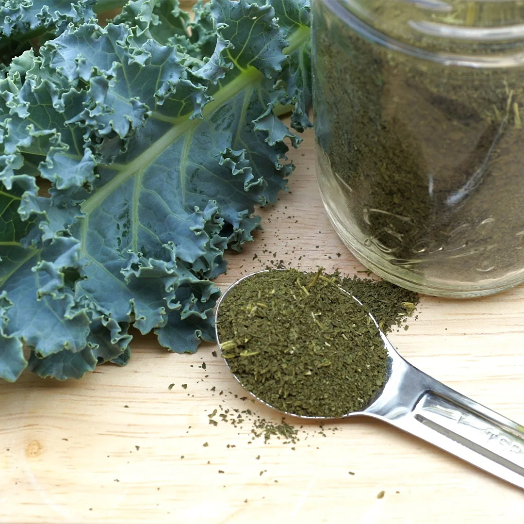 High Quality Kale Powder Herb Extract From Vietnam Supplier Wholesale
