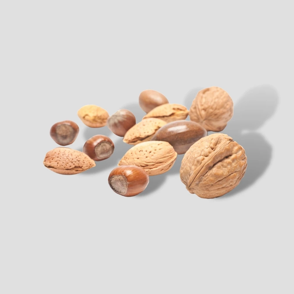 Сельскохозяйственный экспорт запеченные смешанные орехи здоровые закуски органический смешанный сухой фрукт