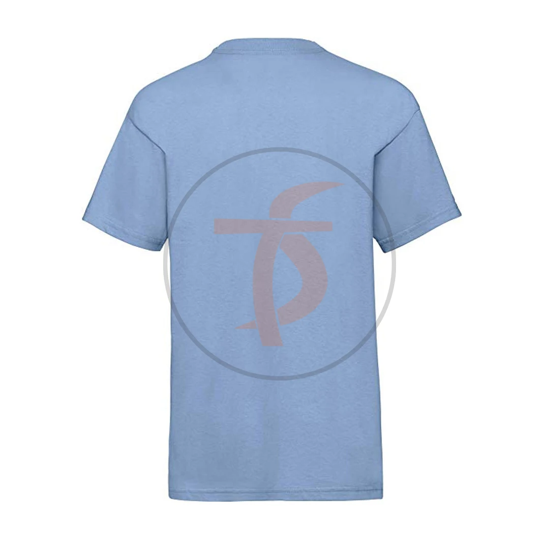 Производители оптовая продажа низкая цена простые пустые мужские футболки с логотипом на заказ