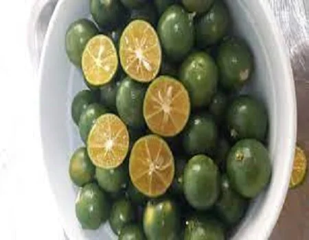 
Supplying fresh lime small/calamansi from Vietnam with top quality _Vikafoods (+84983028718) 