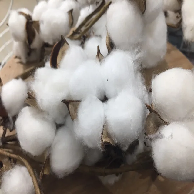  100% Cotton Comber Noil/ Raw Cotton/ Lickerin/ Flat