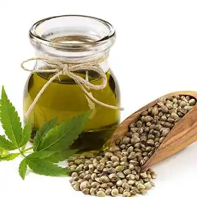 Top High Quality 100% Pure Pain Relief Private Label Organic Hemp Seed Oil Manufacture and Exporter