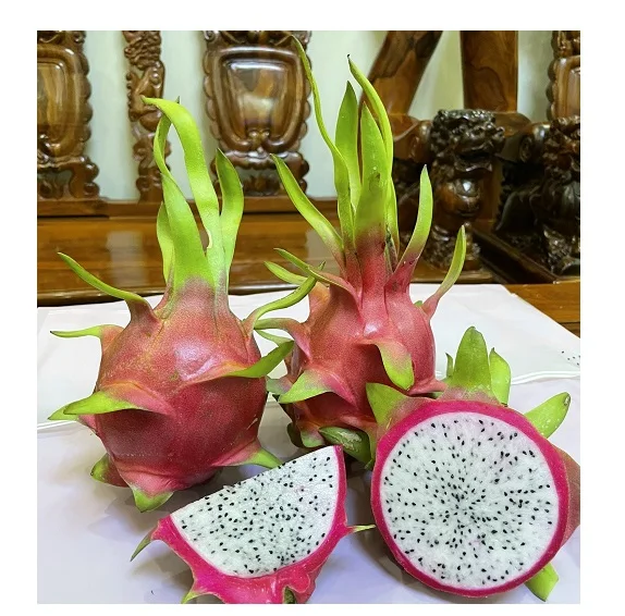 
Viet Nam Dragon Fruit Hylocereus polyrhizus - rich nutrition pitaya high quality red skin wholesale price free tax to EU Korea 