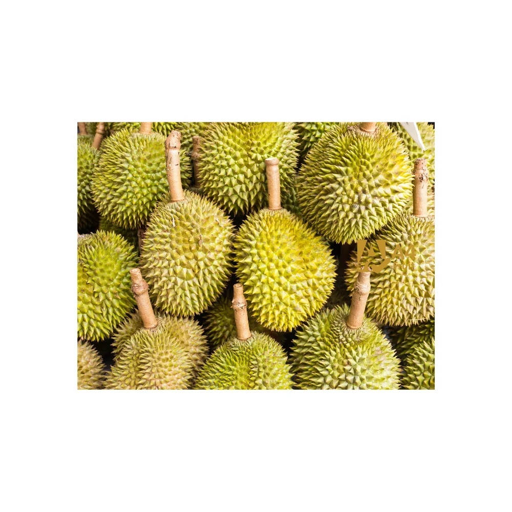  Свежий дуриан для Китая