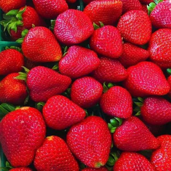 
Top Quality Fresh Berries Fruits Eco Friendly Packages Korean Delicious Sweet Golden Strawberry 