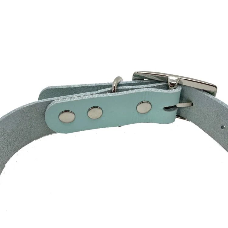 Free Sample Full Grain Good Design Strong Durable Real Cow Leather Pet collar