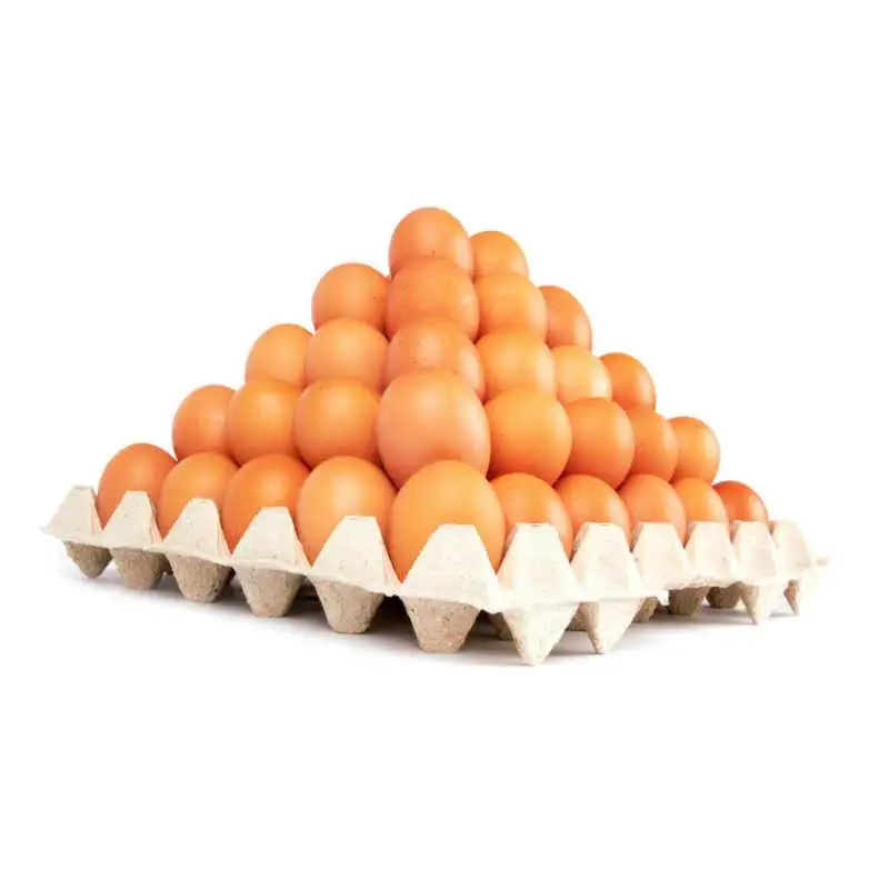 
Chicken Egg/Farm Fresh Chicken Table Eggs/Fresh Table Chicken Eggs supplier from Turkey and Germany 