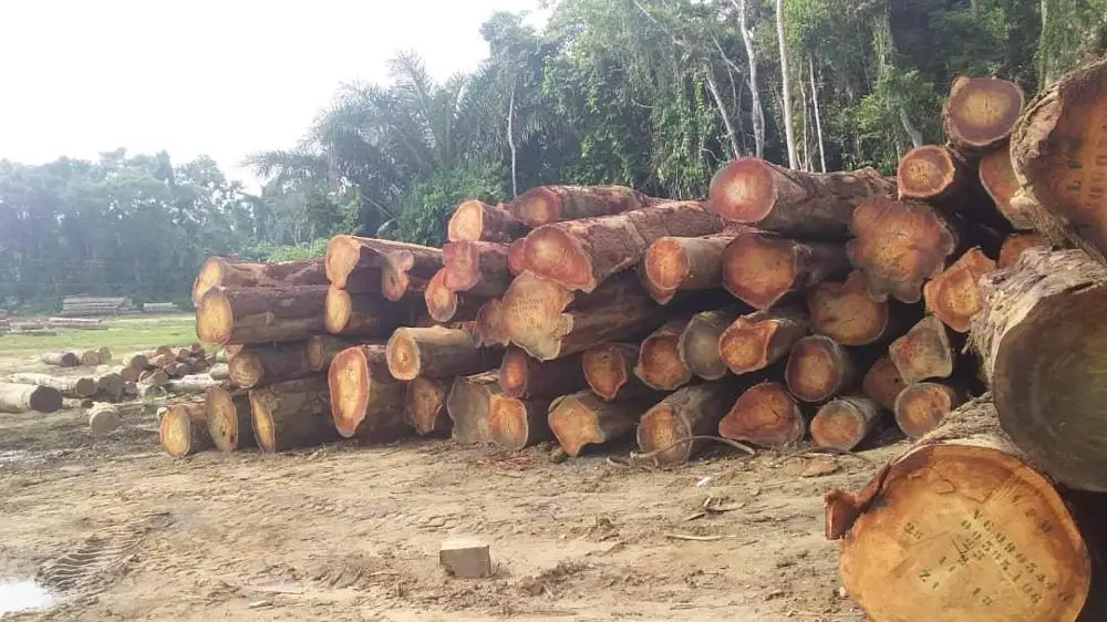 
Teak Wood and Tali Wood Logs 