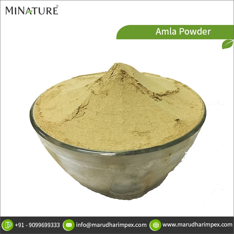 Высокое спрос высокое качество 100% чистый и натуральный травяной порошок Amla от надежного поставщика по хорошей цене
