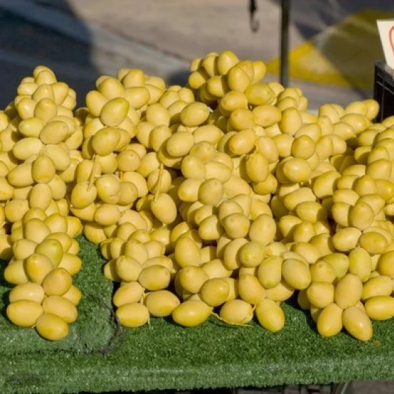 Супер мультивитамины, новый сезон, высококачественные даты, доступные для экспорта по более низкой цене FOB