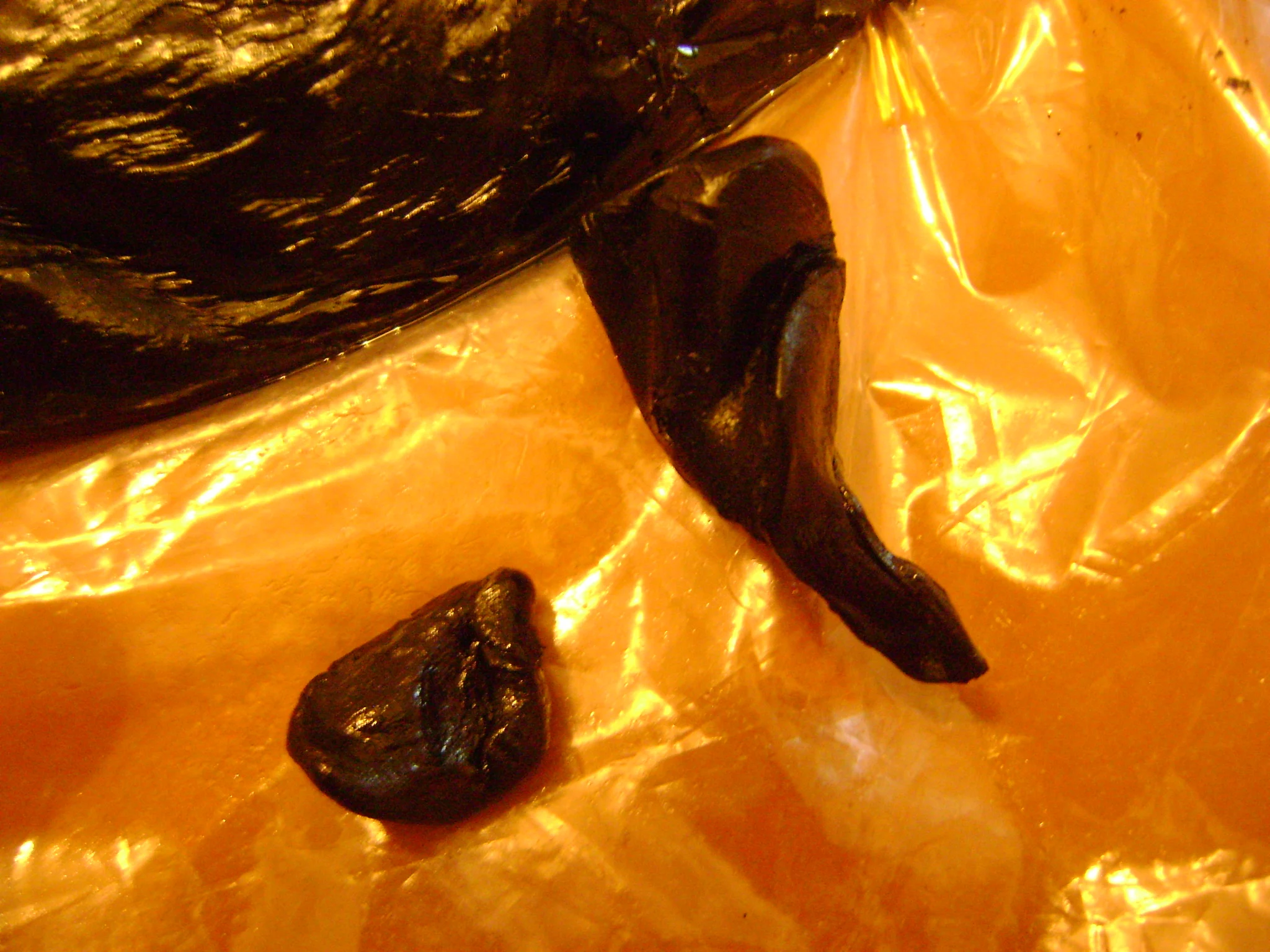 Shilajit resin , Altai Siberia Mumijo Russian