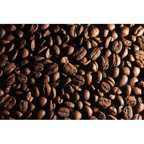 Высококачественные зеленые кофейные зерна Arabica низкая цена