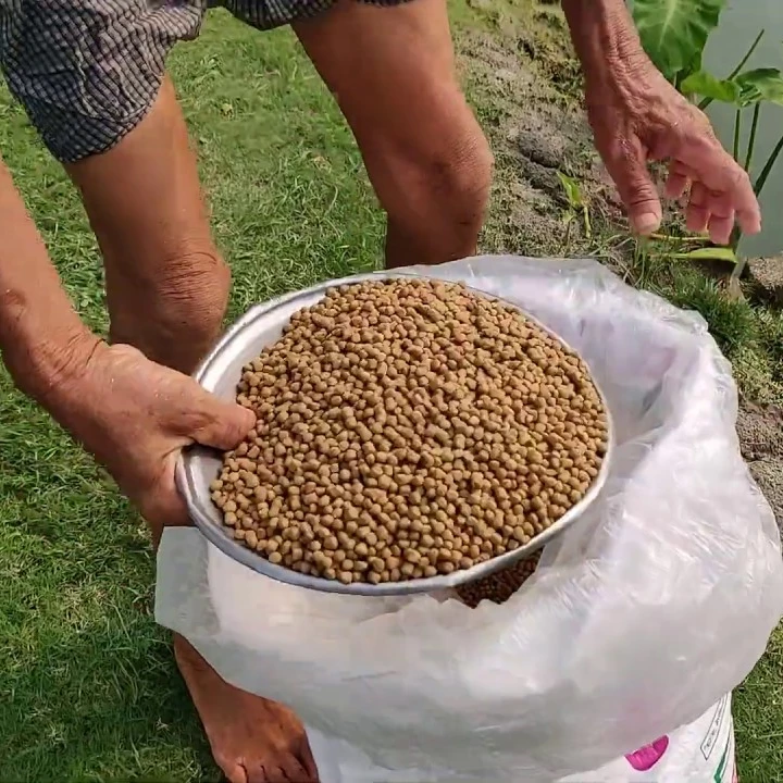 Animal Feed Fish Meal.jpg
