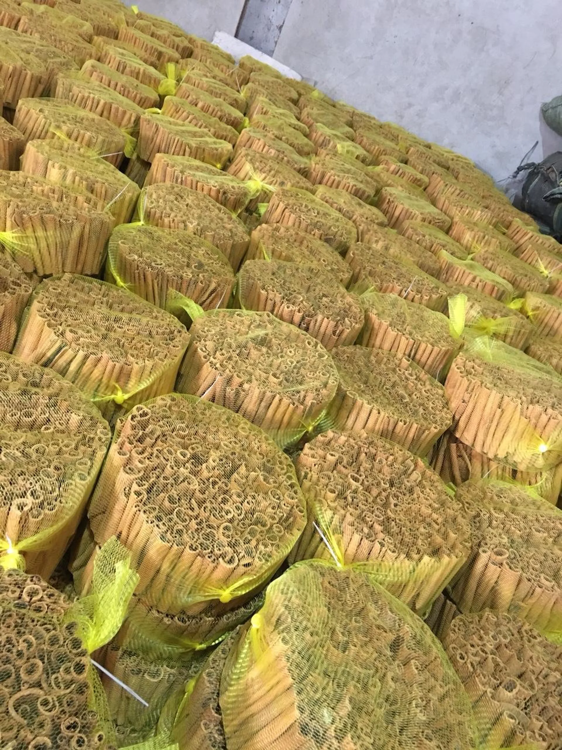 CASSIA-CINAMON FACTORY PRICE  ( WP: 0084986778999)