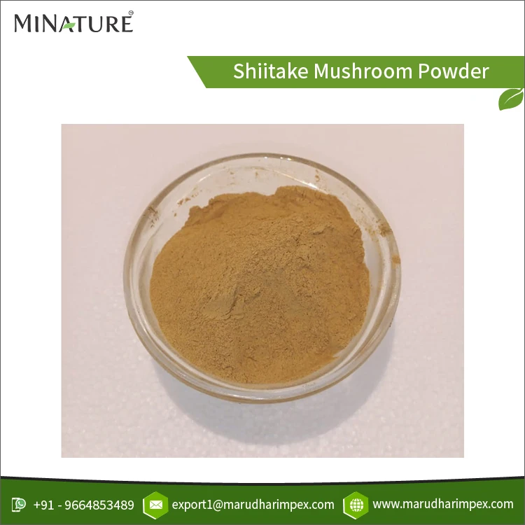 Excellent Quality High Purity Wholesale Natural Shiitake Mushroom Extract Powder for Bulk Purchase
