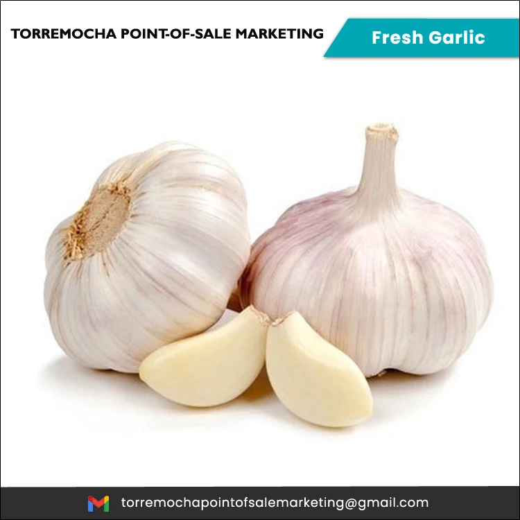Healthy Natural New Crop Pure Natural Organic Fresh Philippines White Garlic at Least Price