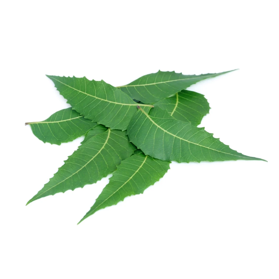 neem powder 20