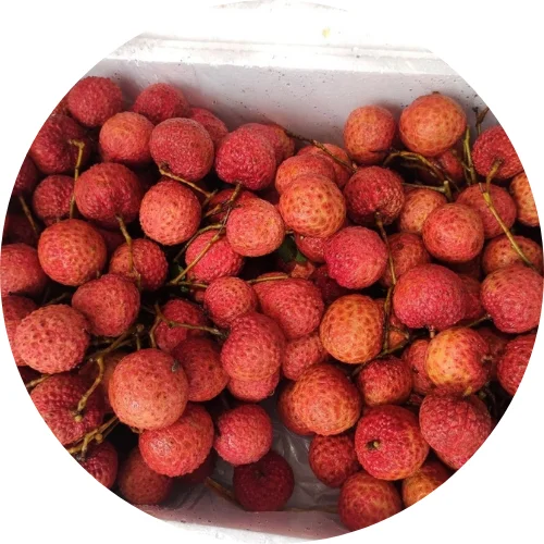 Fresh Lychee fruit from vietnam-  wholesaler bulk supplier cheapest price good price high quality/ Mr Ethan +84941069457