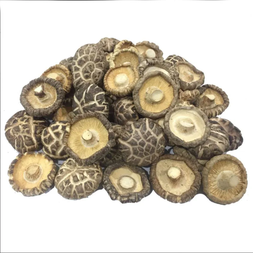 Хрустящие и вкусные вакуумные жареные грибы, сушеные устричные грибы