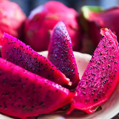 Поставщик лучший свежий красный дракон фрукты