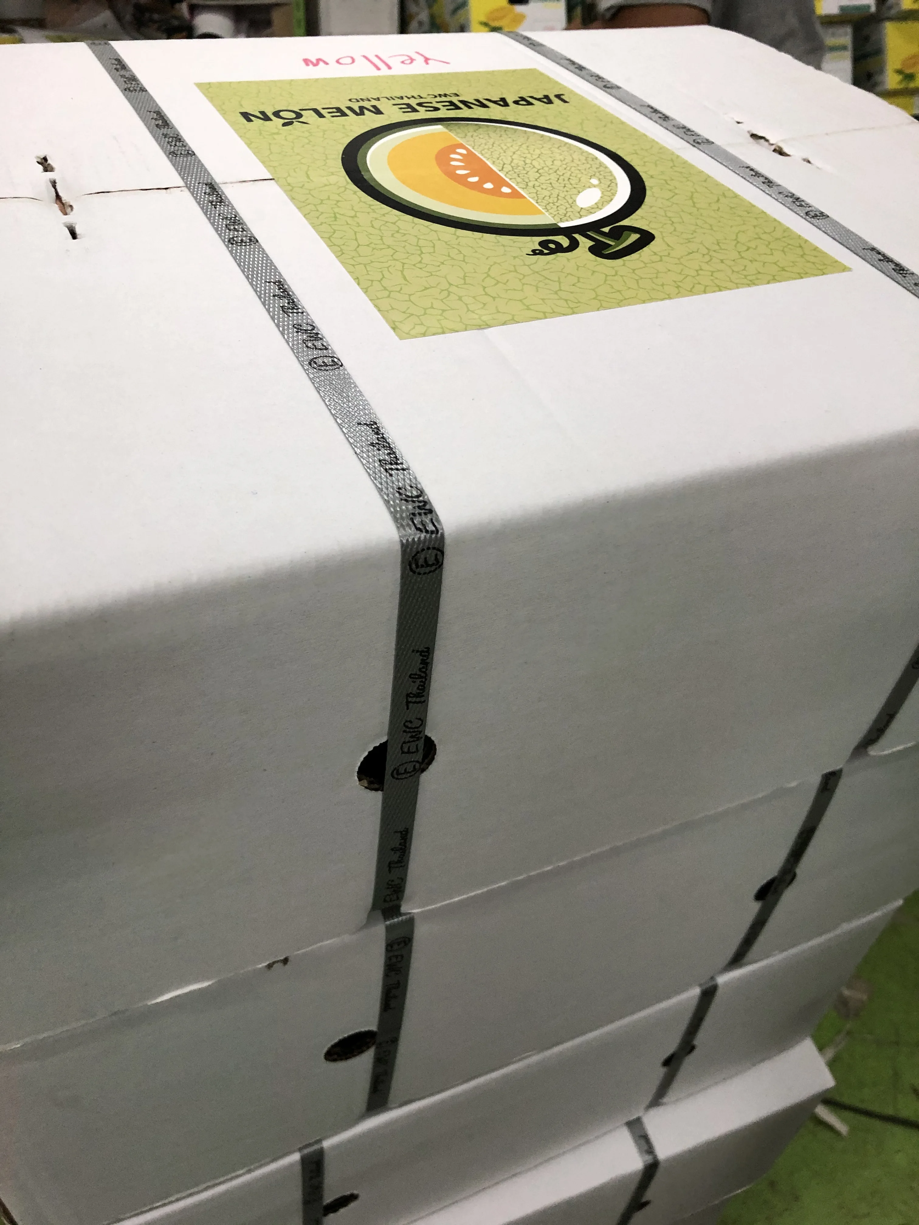 EWC Farrmer From Thailand Tropical Fruit Fresh Melon Orange Meat OML001 Sweet Taste