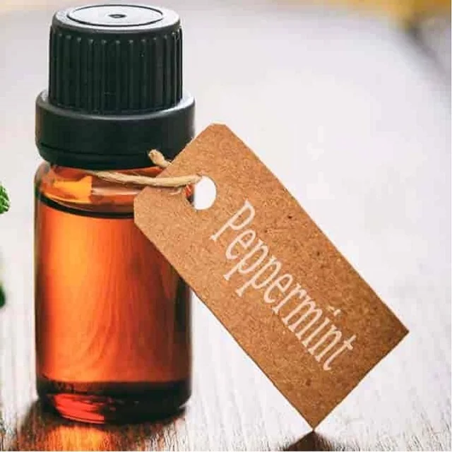 Bulk Sale Top Grade Peppermint Essential Oil Supplier Peppermint Organic Oil in India Oil Manufacturer for Export