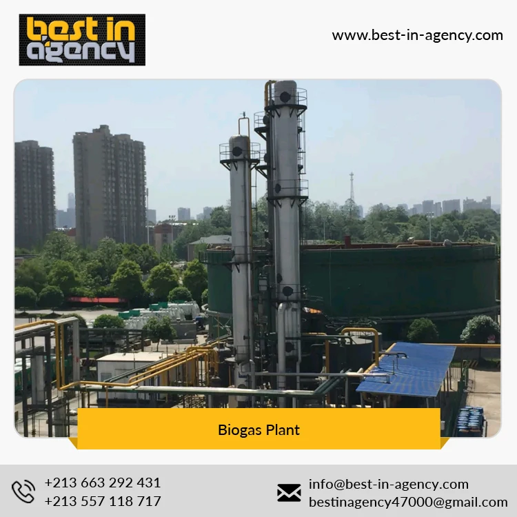 
20000 Nm3/Day Biogas Production Project with Cstr Anaerobic Digestion Tank Biogas Plant 