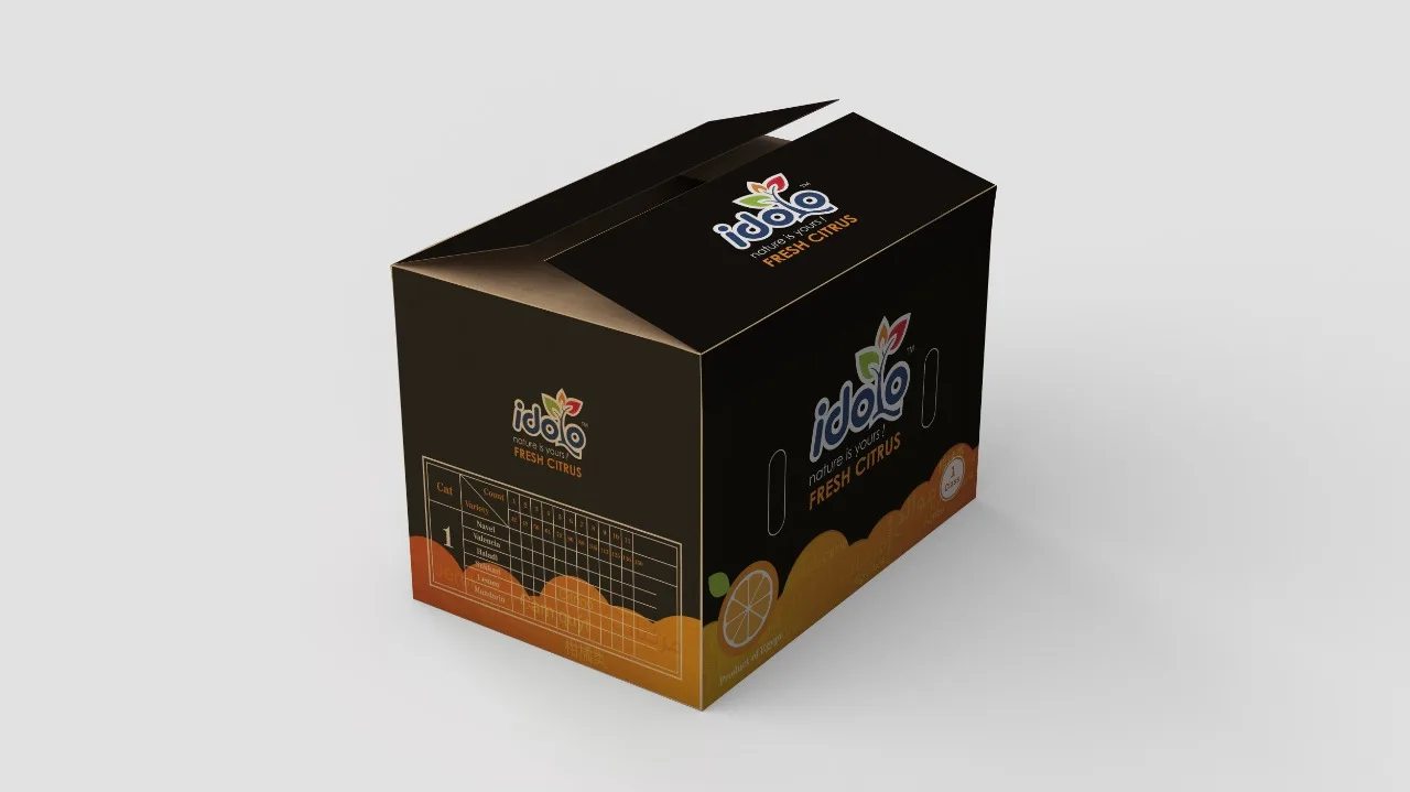 Высококачественная египетская свежая здоровая натуральная оранжевая коробка для соков, 15 кг