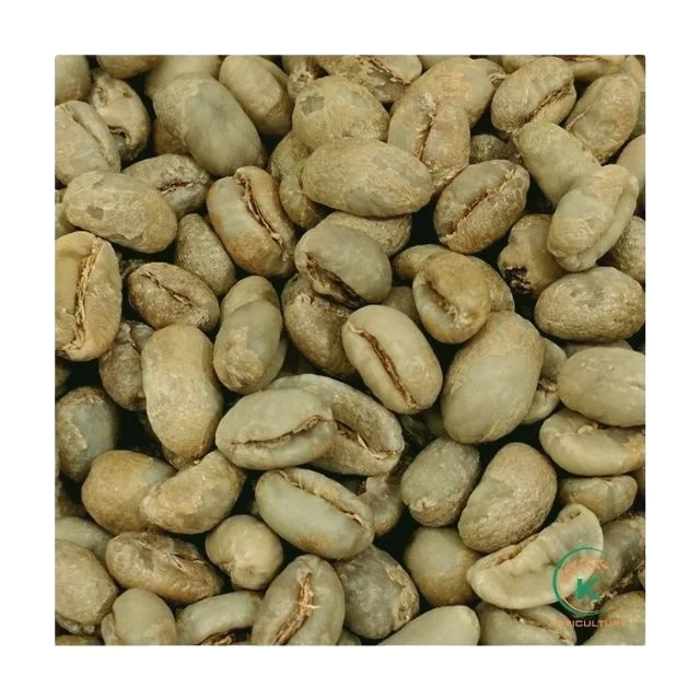 Arabica Coffee Green Bean Commercial Price - Seasonal Sale Newest Harvest / Vietnam K-Agriculture Group