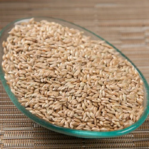 Cheap Price Animal Feed Barley bulk barley grain Feed barley for Sale