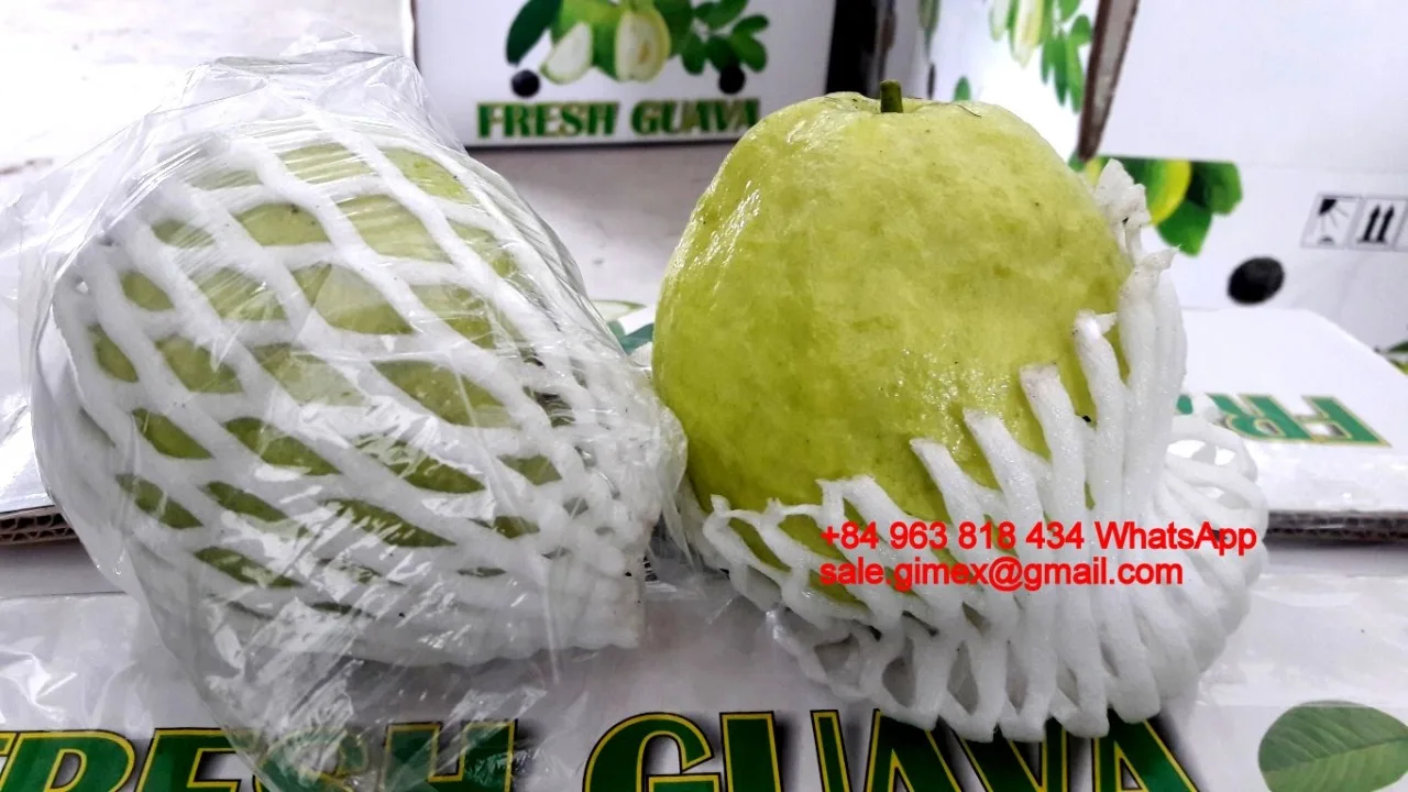 Свежий сладкий гуава + 84963818434 whatsapp