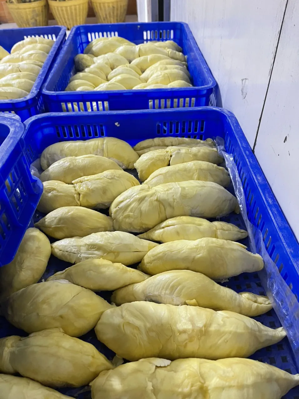 Vietnam Frozen IQF Durian for US, EU, ASIA Market - BEST SELLER