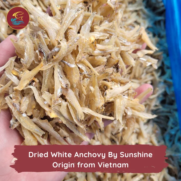 Wholesale Premium Quality White Steamed Dried Anchovy from Vietnam Crispy Texture Seafood Snacks in Box Packaging