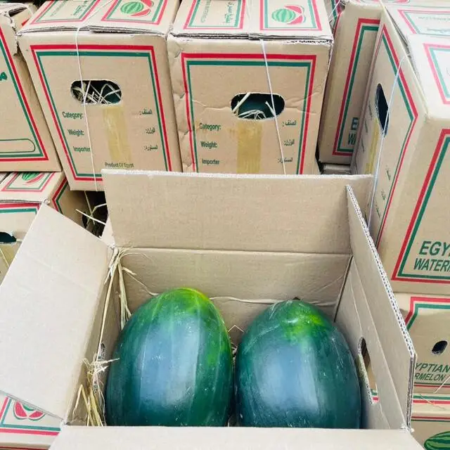 Свежий арбуз/свежий арбуз на продажу/свежий фруктовый арбуз оптом на продажу