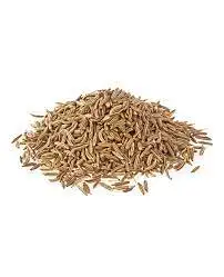 Premium Quality Wholesale Factory Supply Indian cumin Seed/Jeera -Indian Kadha for improve immunity