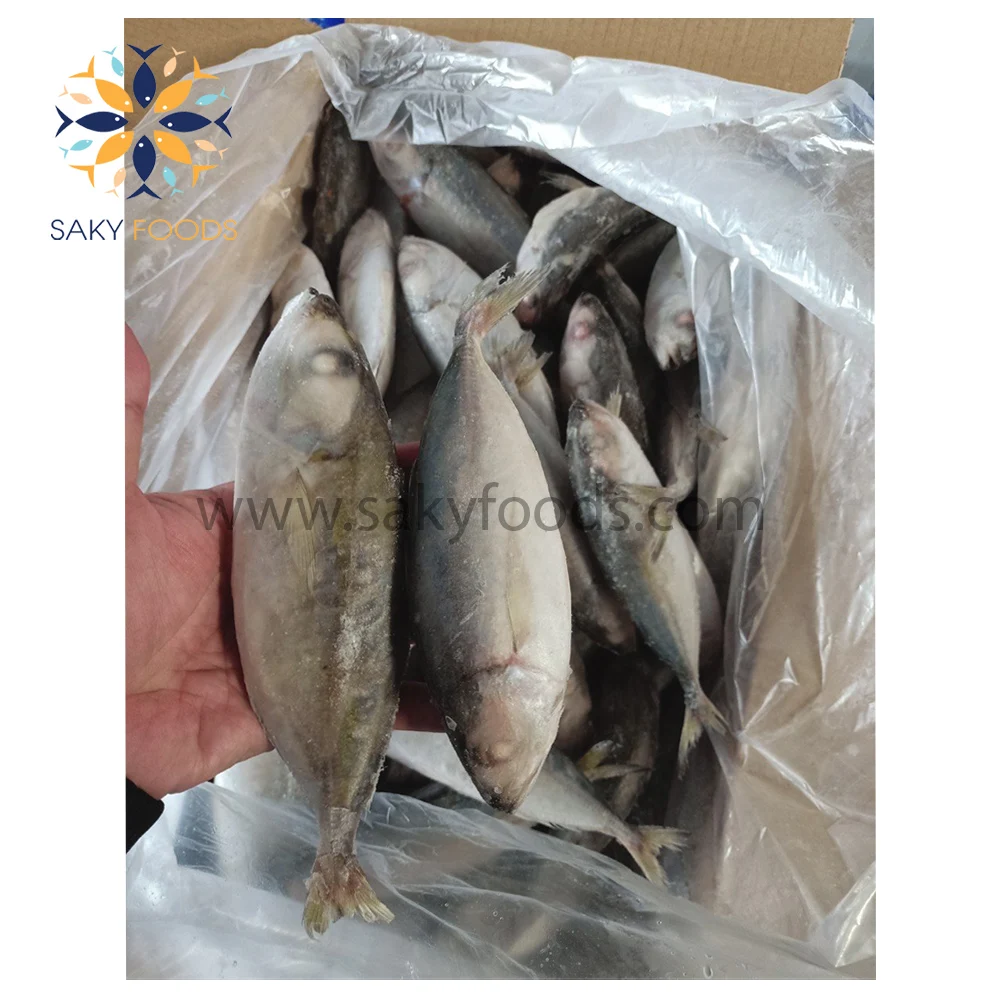 Замороженные Большие глаза круглая рыба