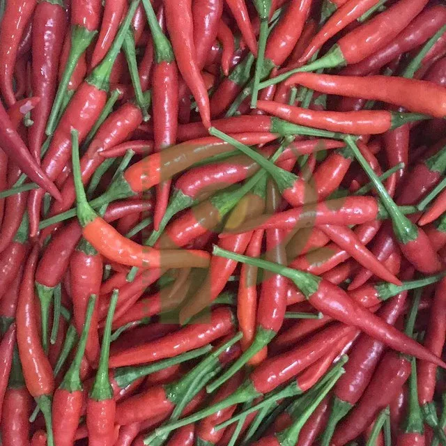  Черный чай православный черный OPA органический свежий из Вьетнама