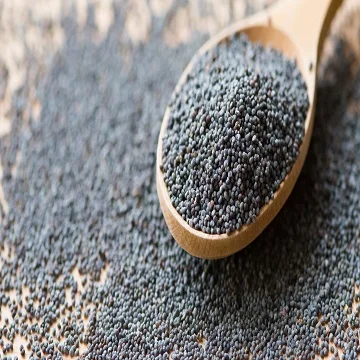 
High Quality Blue Unwashed Poppy Seeds 