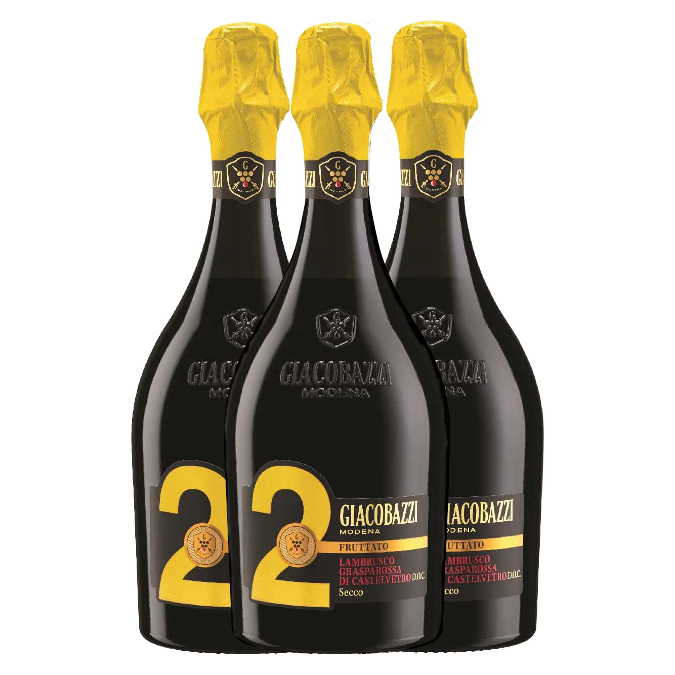 Italian red wine Lambrusco grasparossa from Modena 75 cl ready to export