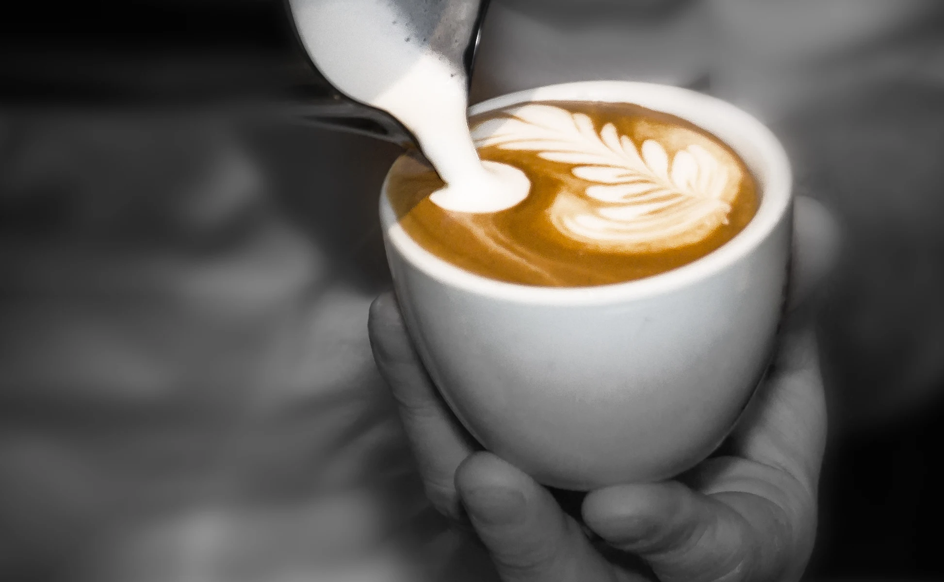 
Gold Extra Bar Caffe del Faro professional wholesale roasted luxury coffee pods coffee tables coffee capsule modern 