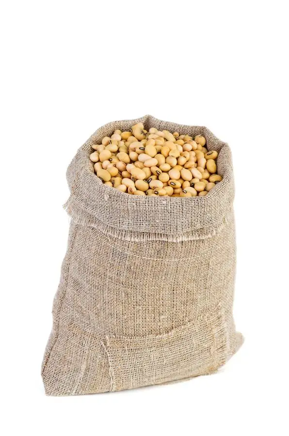 Soybeans NON-GMO Crop High Quality Soybean Wholesale