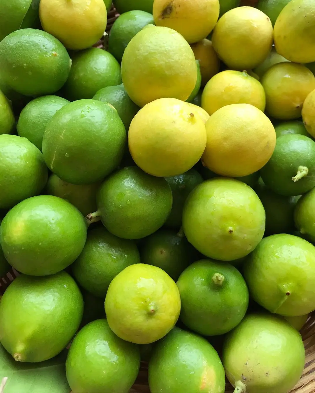 
Fresh Citrus Naval Oranges, Valencia Orange, Lemons, Mandarins and Lime Supplier Ready For Export 